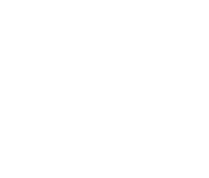 Fighters Choice