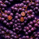 ISOTÔNICO SABOR UVA | PACK COM 12UN
